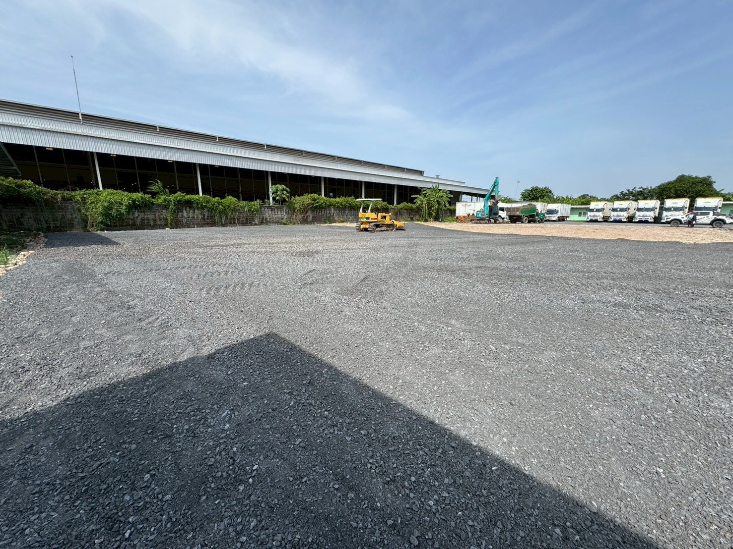 ปลูกต้นไม้ลดหย่อนภาษี